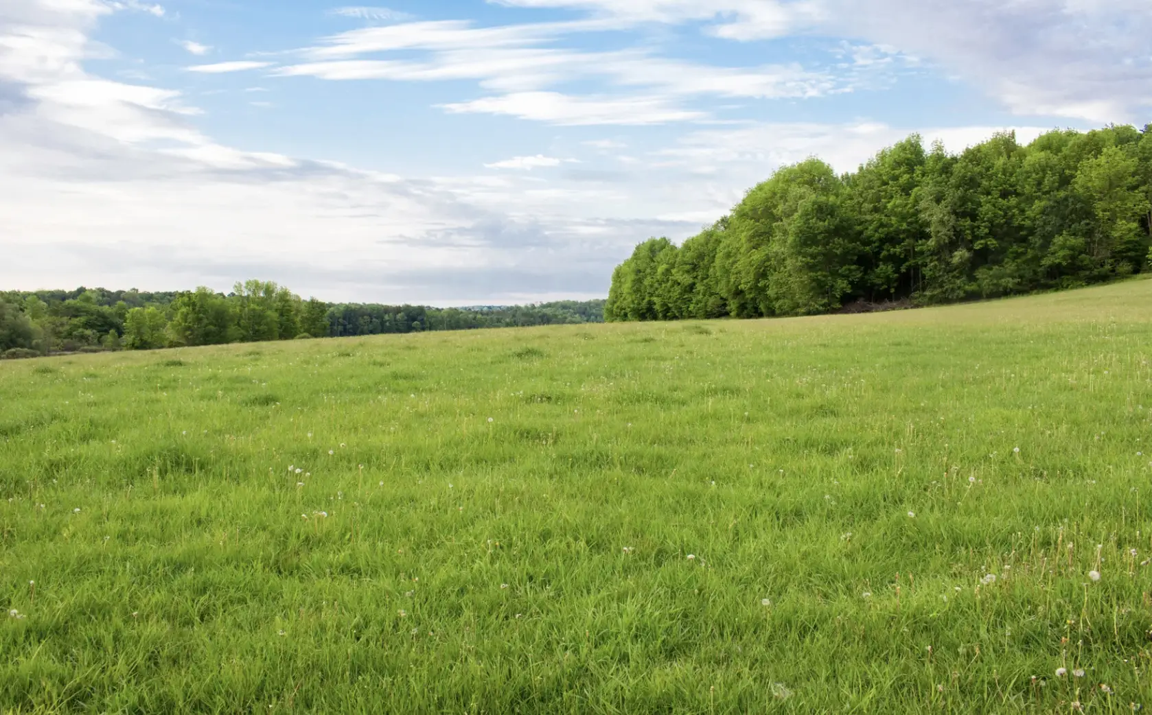 Prime Land Acquisitions, Industrial Assets, and Joint Venture Deals