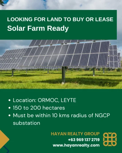 Looking for Land in Ormoc, Leyte